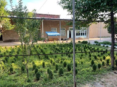 Uchaska sotilai srochniy