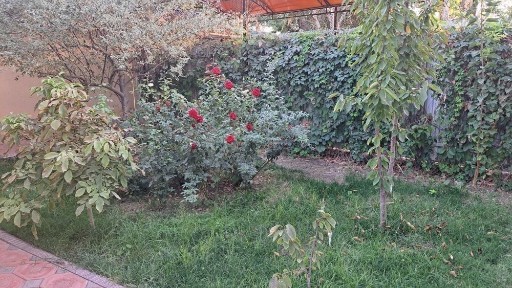 Навоийская область, Навои