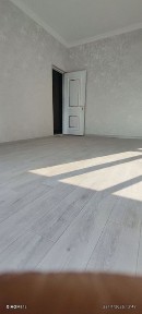 N5748 Olmazor tumani Qora qamish 2/4. 3/4/4