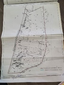 Ташкентская область, Ташкент, Чиланзарский район