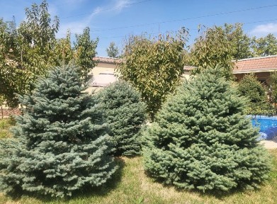 Ташкентская область, Ташкент, Юнусабадский район