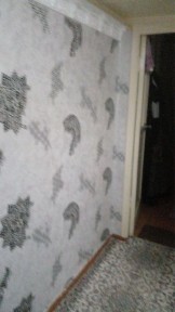 Ташкентская область, Ташкент, Мирзо-Улугбекский район