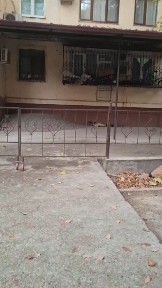 3ком пер-н 4/1/4 Чиланзар 16 разделка