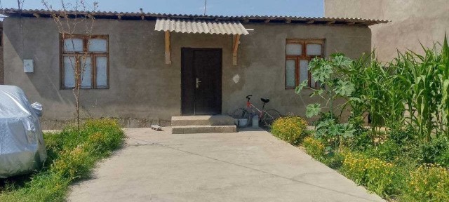 Ташкентская область, Янгиюль