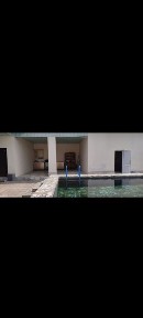 Ташкентская область, Нурафшан (Тойтепа)