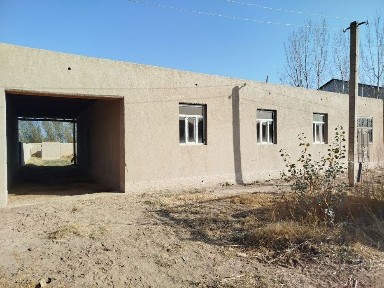 Хорезмская область, Янгиарык