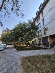 Ташкентская область, Ташкент, Яккасарайский район