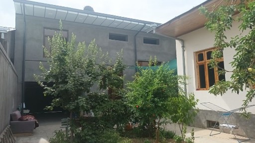 Shofayizda xovli sotiladi