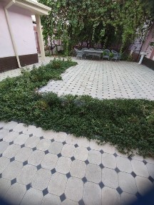 (24) Аренда Участок евро 5 ком