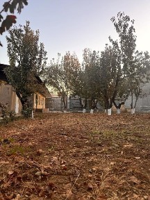 Ташкентская область, Кибрай