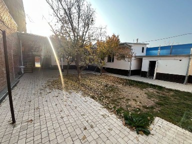 Участка продоётся. Професорский