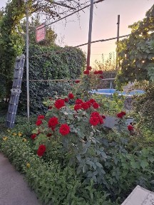 Ташкентская область, Ташкент, Мирзо-Улугбекский район