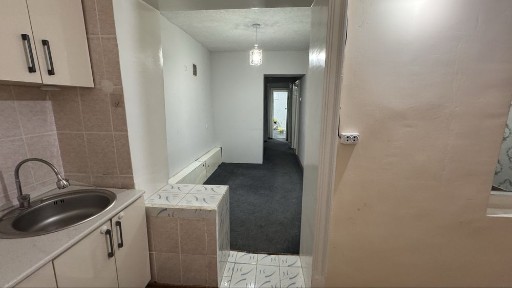 Ttz diadora atrofida ttz 2 daha