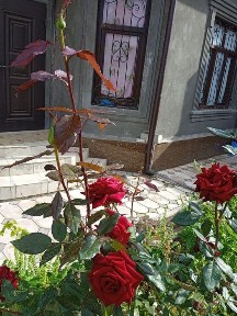 Солнечный участок все есть