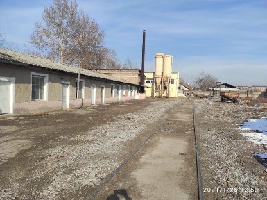 Ташкентская область, Янгиюль