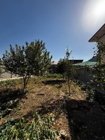 Akmal Baliqdan 5 minutli masofada sotigi 21,500 dan xovli