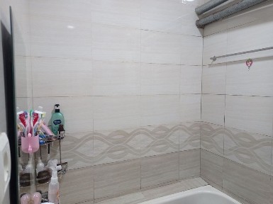 Ташкентская область, Ташкент, Мирзо-Улугбекский район