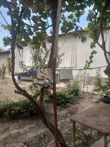 Uy sotiladi 7 sotish 7000 mingdan Яна келишамиз4 xona uy bor