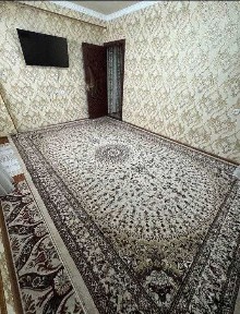 Кара камыш 2.4 2/4/4 хороший ремонтом