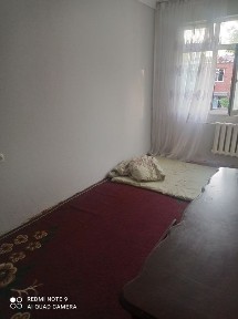 Ташкентская область, Ташкент, Яккасарайский район