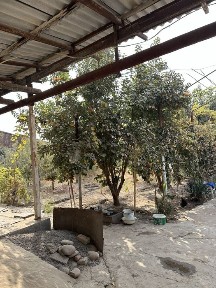 Дачный участок 9.6 соток (возле Троицкого моста)