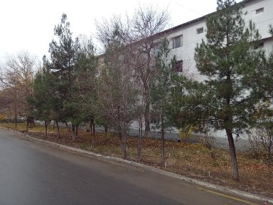 Ташкентская область, Ташкент, Бектемирский район