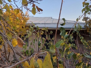 продаётся свой дом (участок) в чирчике