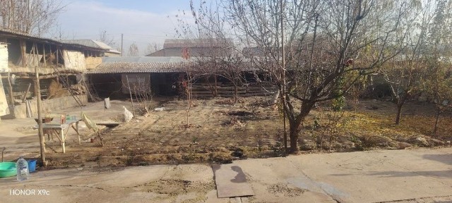 Ташкентская область, Зангиата