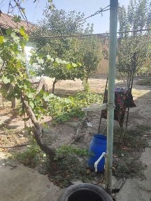 Ташкентская область, Кибрай