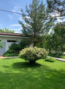 Продаётся дача Чирчик 14 соток - всё есть, идеальный вариант.