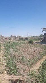 Каракалпакстан, Акмангит