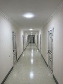 Arenda Kvartira Iyk Ota 2024