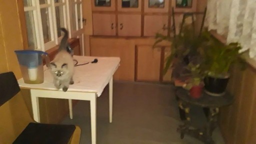 Ташкентская область, Ташкент, Сергелийский район