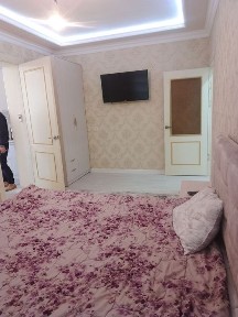 Коракамиш 1/3/5 тансикбойев