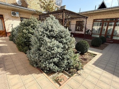 Аренда Дом 2000 у.е. Шахристанская