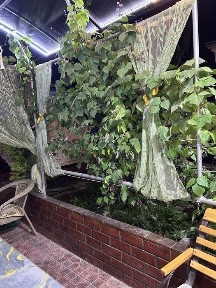 Ташкентская область, Ташкент, Бектемирский район