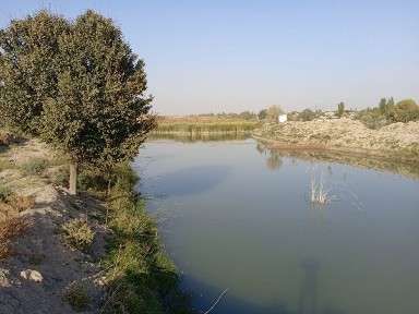 Срочно Сдается пруд в аренду