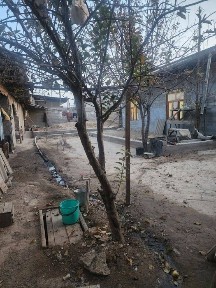 Ташкентская область, Янгиюль