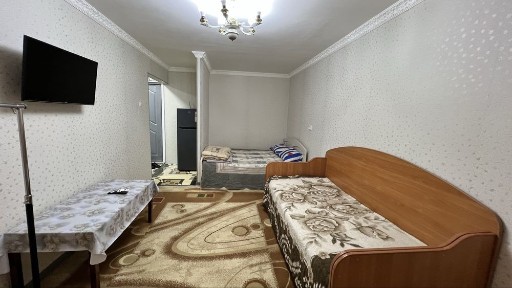 1 комнатная с мебелью и техникой