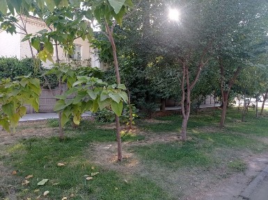 Срочно. Парк фуркат. Продаётся своя 3 /1/2 на 1 этаже