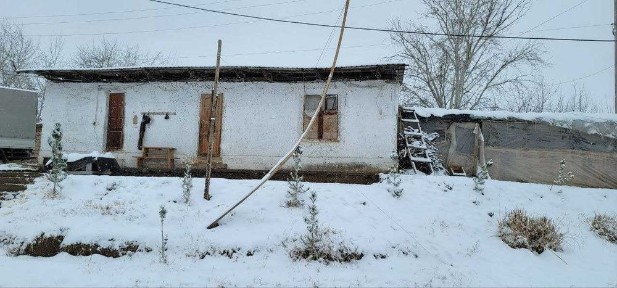 Ташкентская область, Янгиюль