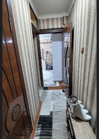 N5887 Olmazor tumani Qora qamish 1/2. 1/5/5