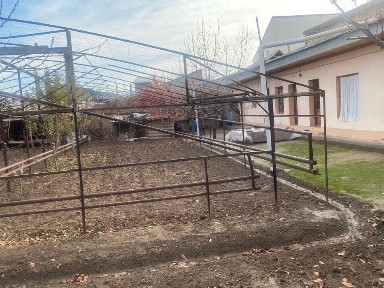 Ташкентская область, Ташкент, Юнусабадский район