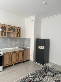 Ташкентская область, Ташкент, Бектемирский район