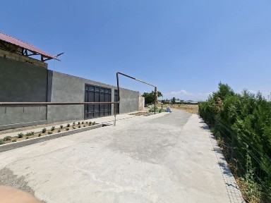 Уй сотилади ! Ўзимники, ўртада хеч ким йўқ!