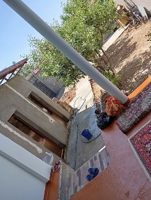 Ташкентская область, Зангиата