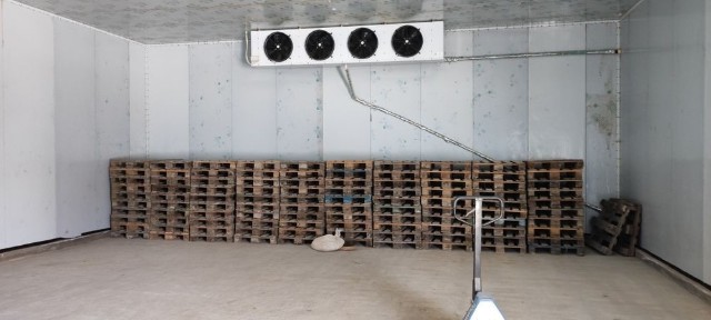 Кашкадарьинская область, Шахрисабз