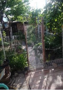 Ташкентская область, Ташкент, Мирабадский район