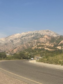 Dacha sotiladi katta chimyonda