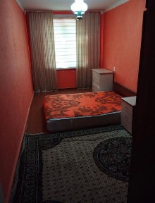 Аренда г. Чирчик октябрь